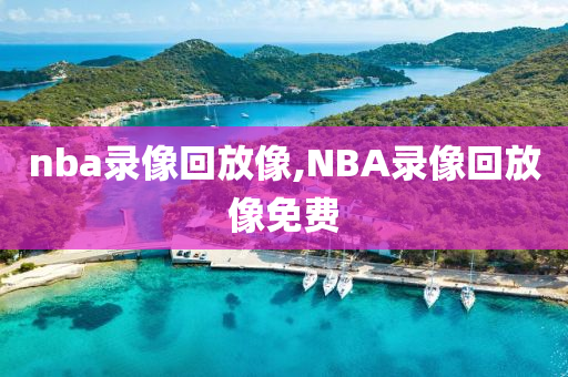 nba录像回放像,NBA录像回放像免费